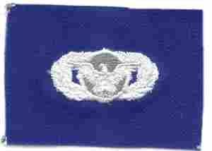 AIR FORCE BASIC SECURITY POLICE BADGE ON BLUE CLOTH