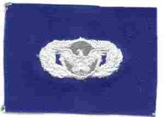AIR FORCE BASIC SECURITY POLICE BADGE ON BLUE CLOTH - Saunders Military Insignia