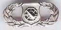 Air Force Basic Weapons Controller Badge or Wing