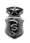 Air Force Biomedical Science Chief Badge in old silver finish - Saunders Military Insignia