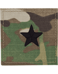 Air Force Brigadier General Scorpion rank insignia - Saunders Military Insignia