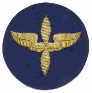 Air Force Cadet (AAF) Patch, Bullion