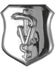 Air Force Chief Veterinarian Badge - Saunders Military Insignia