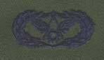 AIR FORCE CIVIL ENGINEER BADGE ON SUBDUED CLOTH - Saunders Military Insignia