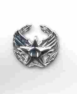 Air Force Commanders Badge