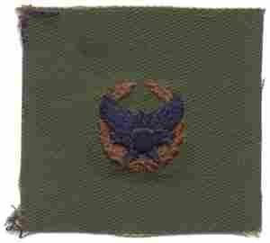 AIR FORCE COMMANDERS BADGE IN SUBDUED CLOTH