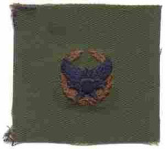 AIR FORCE COMMANDERS BADGE IN SUBDUED CLOTH - Saunders Military Insignia