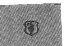 Air Force Dentist Badge in subdued cloth - Saunders Military Insignia
