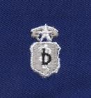 Air Force Dentist Chief Badge in blue cloth