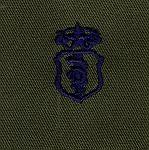 Air Force Dentist Chief Badge in subdued cloth - Saunders Military Insignia