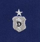 Air Force Dentist Senior Badge in blue cloth