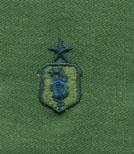 Air Force Dentist Senior Badge in subdued cloth