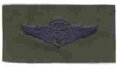 AIR FORCE FLIGHT CHIEF FLIGHT NURSE WING IN SSUBDUED CLOTH - Saunders Military Insignia