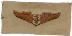 AIR FORCE FLIGHT NURSE BADGE IN DESERT CLOTH - Saunders Military Insignia