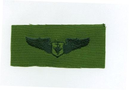 AIR FORCE FLIGHT NURSE BADGE ON SUBDUED CLOTH - Saunders Military Insignia