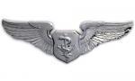 Air Force Flight Nurse Badge or Wing