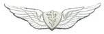 Air Force Flight Surgeon Badge or Wing - Saunders Military Insignia