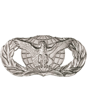 Air Force Force Protection Badge