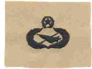 AIR FORCE HISTORIAN BADGE ON DESERT CLOTH - Saunders Military Insignia