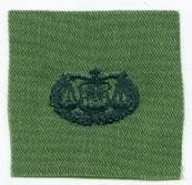 Air Force Judge Advocate Badge in subdued cloth - Saunders Military Insignia