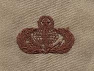 AIR FORCE MASTER FUEL BADGE IN SUBDUED CLOTH - Saunders Military Insignia