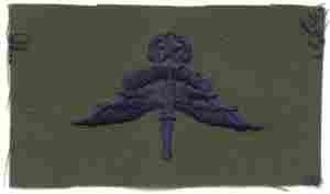 AIR FORCE MASTER HALO WING ON SUBDUED CLOTH - Saunders Military Insignia