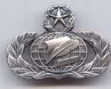 Air Force Master Information Management badge in old silver finish
