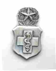 Air Force Master Medical Technologist Badge in old silver finish