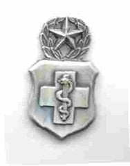 Air Force Master Medical Technologist Badge in old silver finish - Saunders Military Insignia