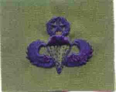 AIR FORCE MASTER PARACHUTIST BADGE IN SUBDUED CLOTH - Saunders Military Insignia