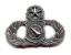 Air Force Master Weapons Controller badge in old silver finish