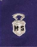 Air Force Medical Service Chief Badge in blue cloth