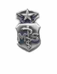 Air Force Medical Service Chief Badge in old silver finish - Saunders Military Insignia
