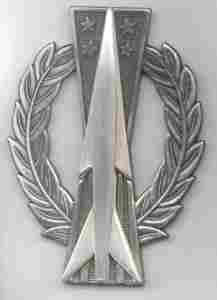 Air Force Missile Operator badge in old silver finish