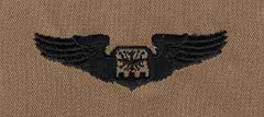 AIR FORCE NAVIGATOR BADGE IN DESERT CLOTH - Saunders Military Insignia