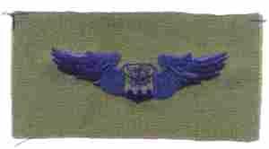AIR FORCE NAVIGATOR BADGE IN SUBDUED CLOTH