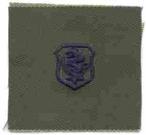 Air Force Nurse Badge in subdued cloth