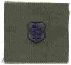 Air Force Nurse Badge in subdued cloth - Saunders Military Insignia