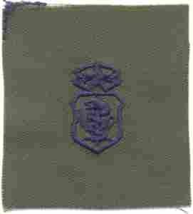 Air Force Nurse Chief Badge in subdued cloth