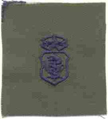 Air Force Nurse Chief Badge in subdued cloth - Saunders Military Insignia