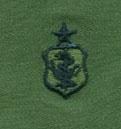 Air Force Nurse Senior Badge in subdued cloth - Saunders Military Insignia