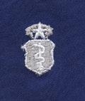 Air Force Physician Chief Badge in blue cloth