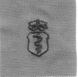 Air Force Physician Chief Badge in subdued cloth - Saunders Military Insignia