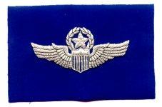AIR FORCE PILOT COMMAND BADGE IN BULLION SEW ON CLOTH