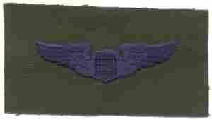 AIR FORCE PILOT WING IN SUBDUED CLOTH