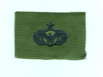 AIR FORCE SECURITY POLICE SENIOR BADGE IN SUBDUED CLOTH - Saunders Military Insignia