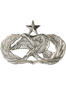 Air Force Senior Air Munition and Maintenance Badge or Wing