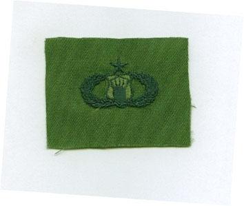 AIR FORCE SENIOR AIR TRAFFIC CONTROLLER BADGE IN SUBDUED CLOTH