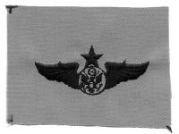 AIR FORCE SENIOR AIRCREW WING ON DESERT CLOTH - Saunders Military Insignia