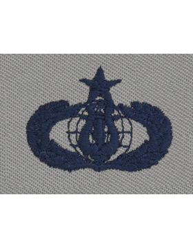 AIR FORCE SENIOR BAND BADGE ON ABU CLOTH - Saunders Military Insignia